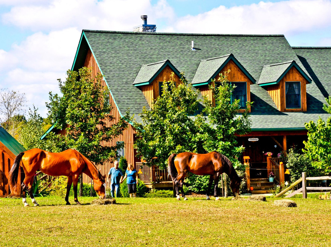 At Willow Pond Bed and Breakfast主图