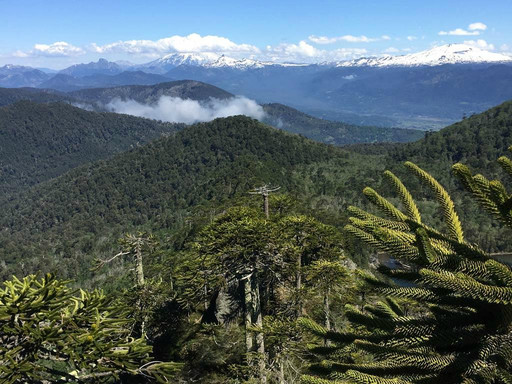 Avani Yoga Retreats-普孔必去景点