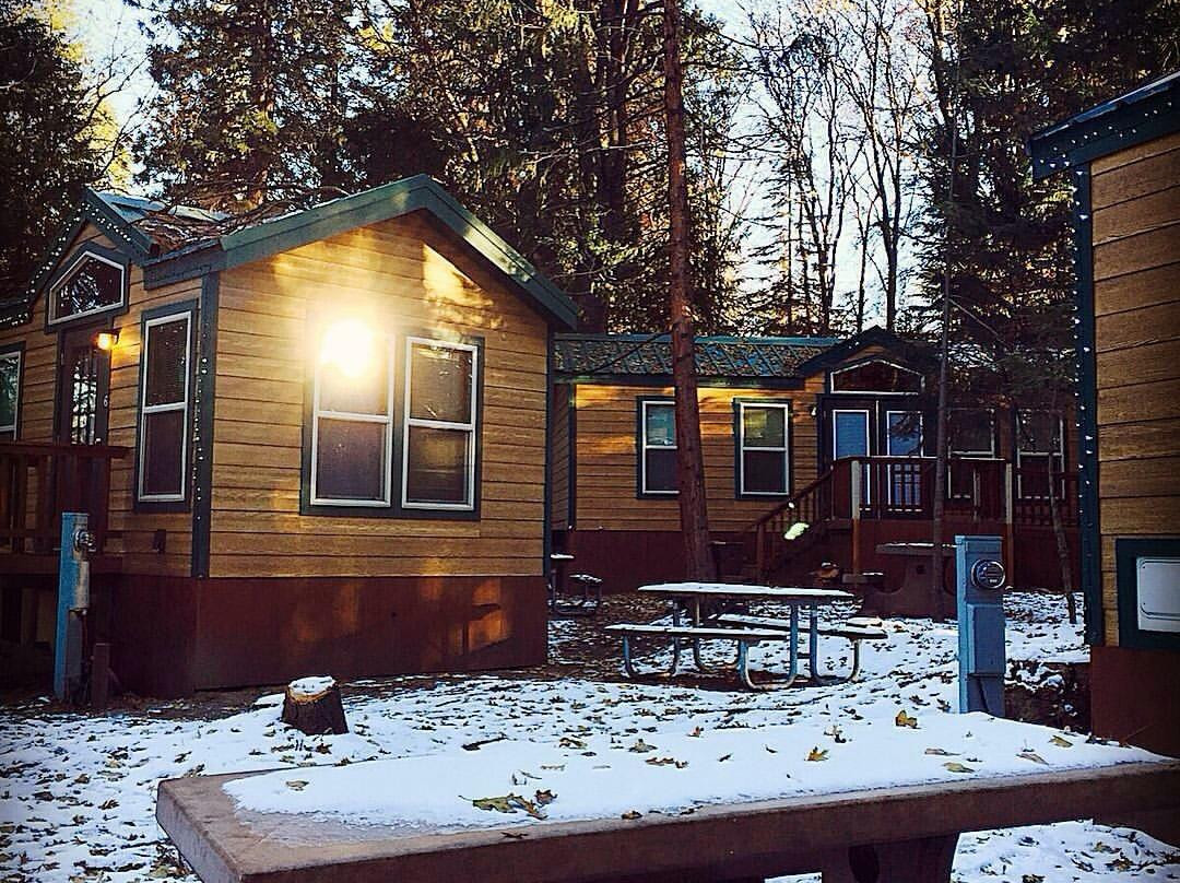 Mount Shasta City KOA