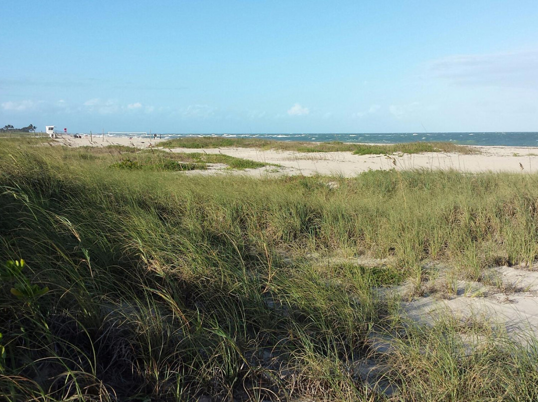 Ocean Drive-维罗海滩必去景点