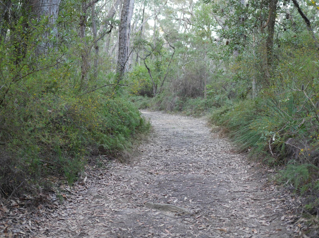 Highlands Adventure Co-Bundanoon必去景点