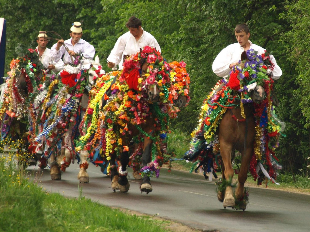 Maramures Tours景点图片