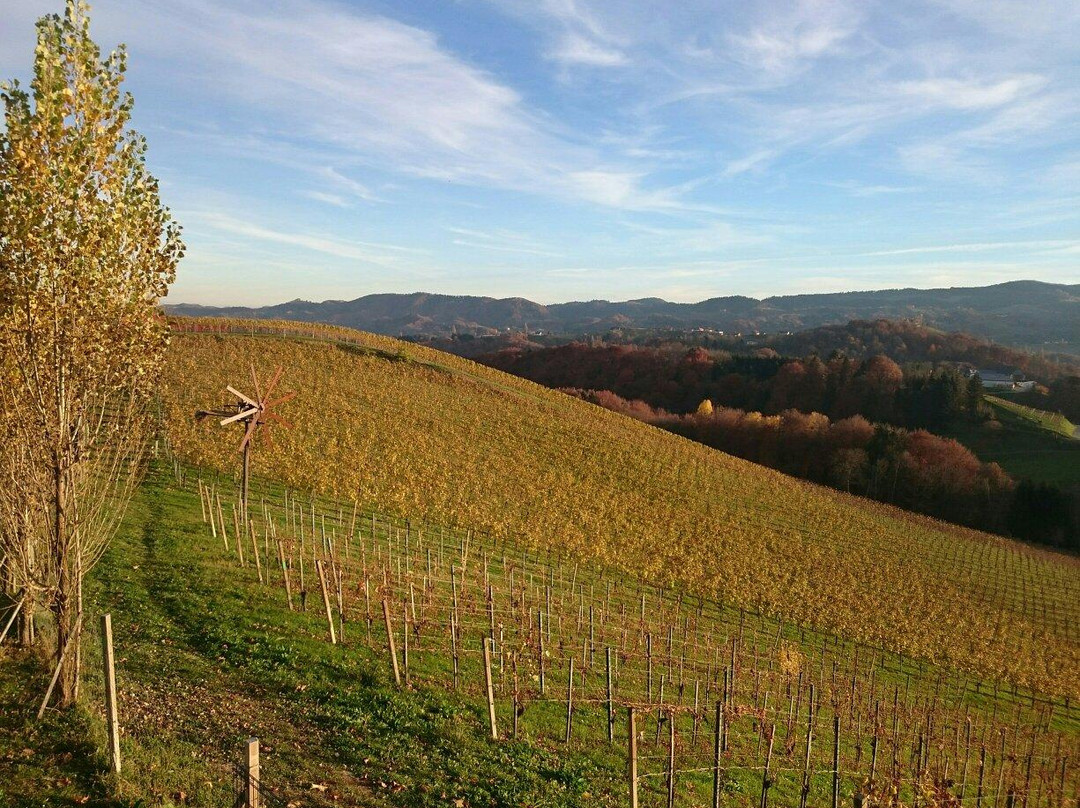 Weingut Fellner主图