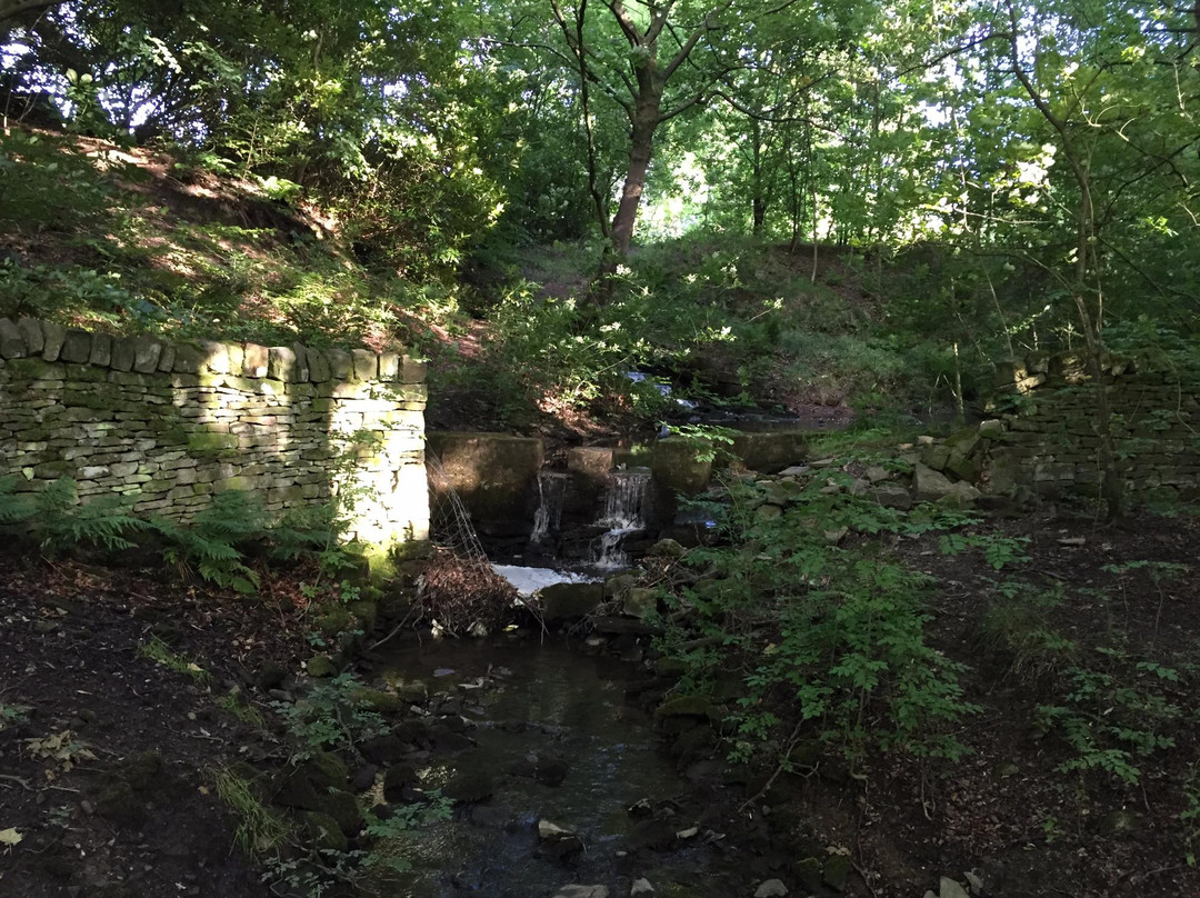 Cliviger Fish Ponds-伯恩利必去景点