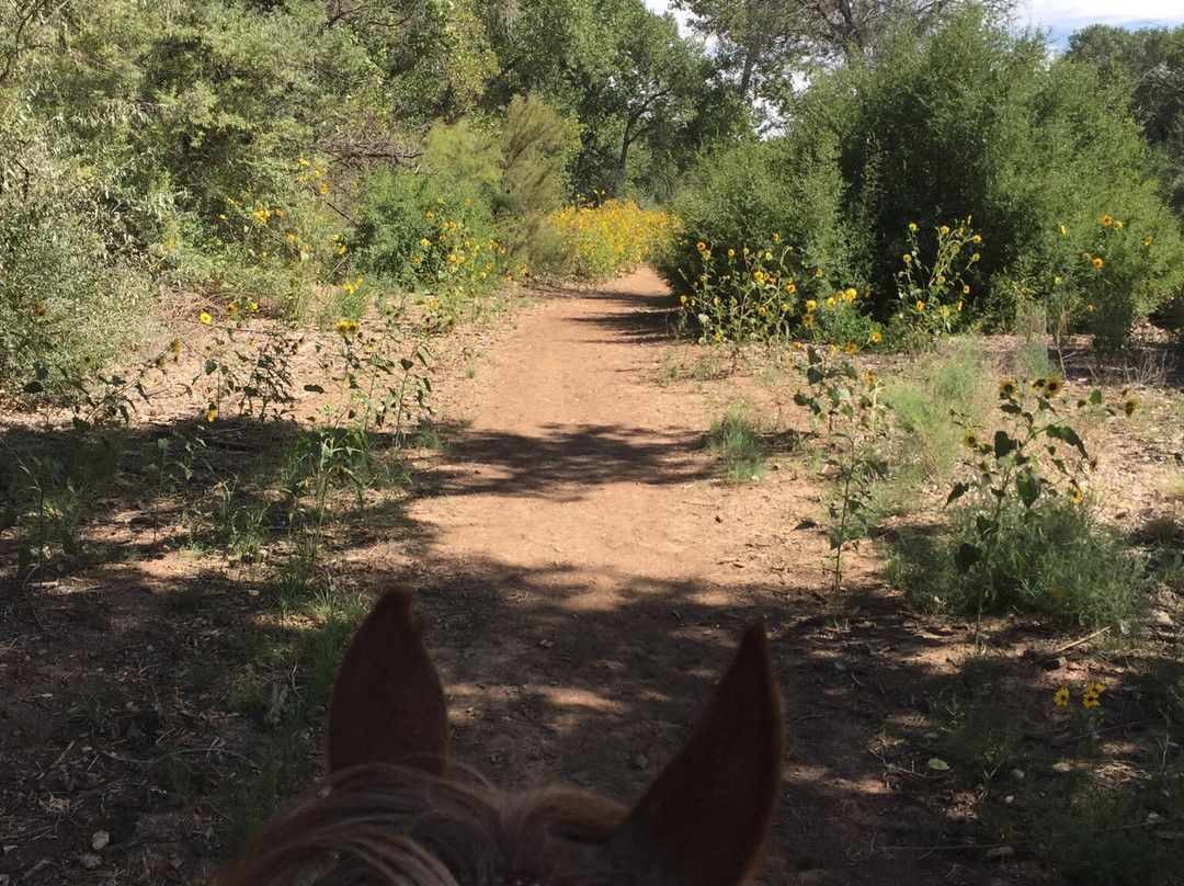 Running Horse Ranch-阿尔伯克基必去景点