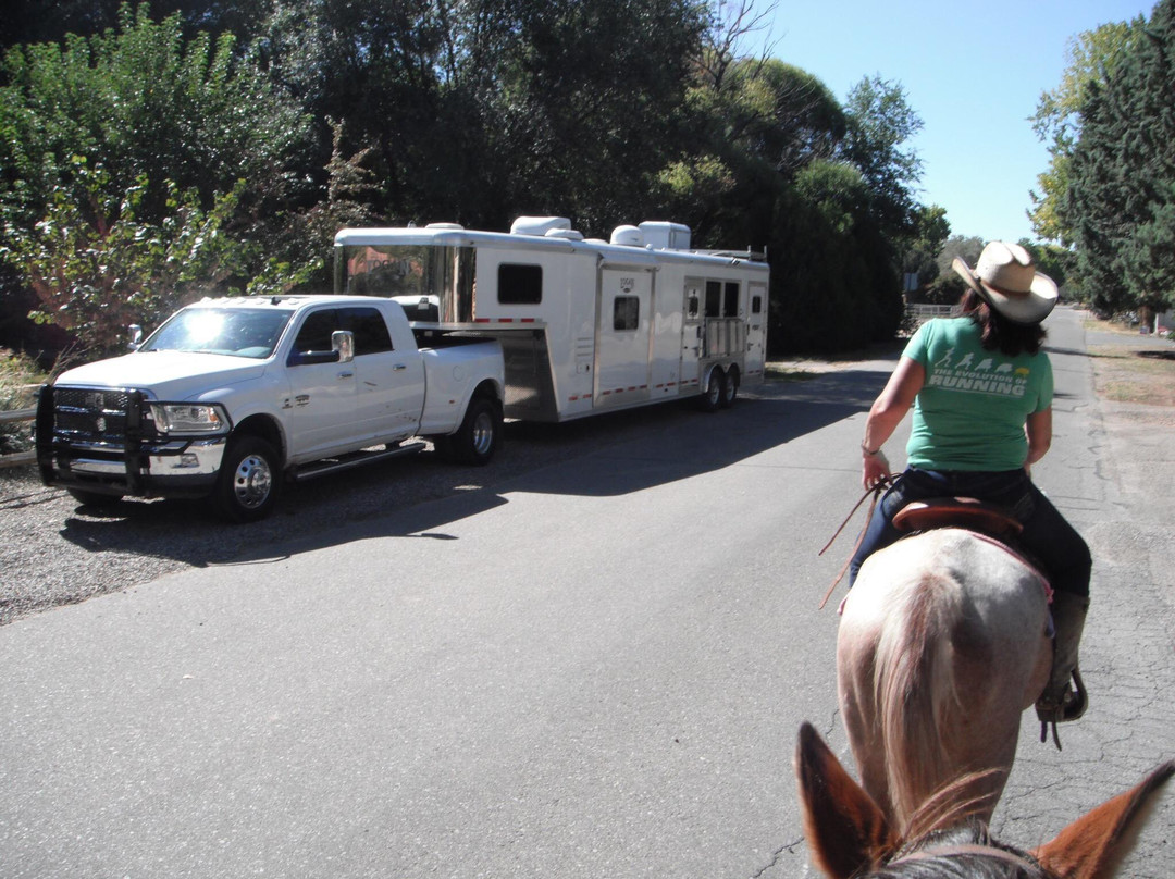 Running Horse Ranch-阿尔伯克基必去景点
