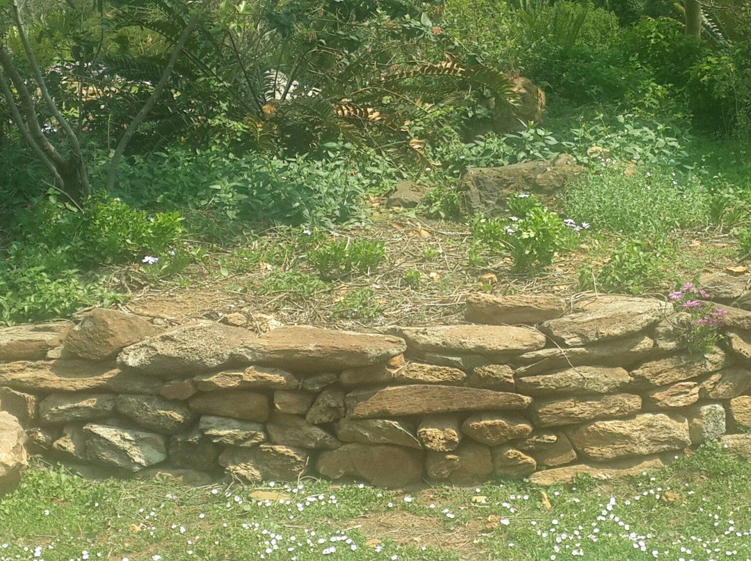 Walter Sisulu National Botanical Gardens景点图片