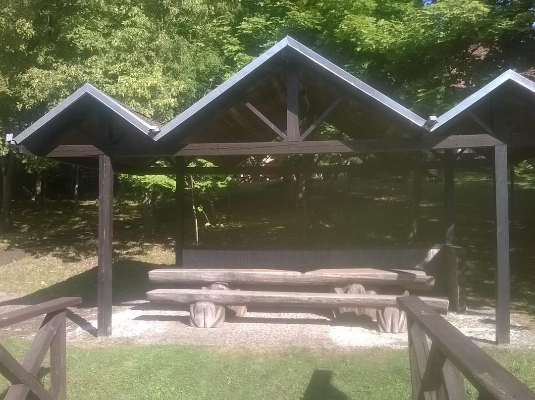 Backonys旅游攻略图片