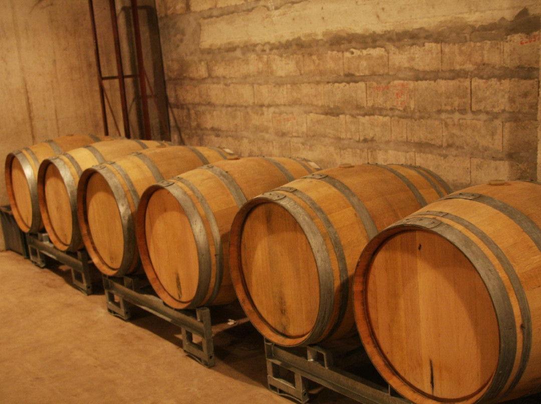 Champagne Banette-Tauxieres-Mutry必去景点