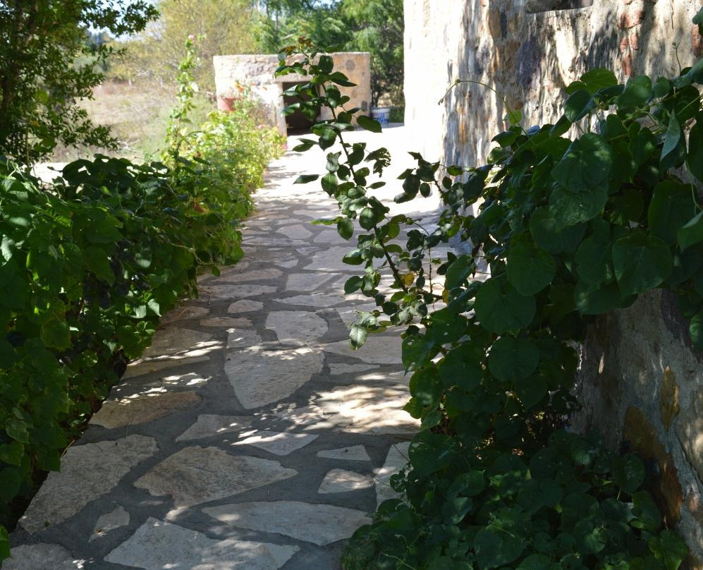 Folk Museum of Antimachia-Antimachia必去景点