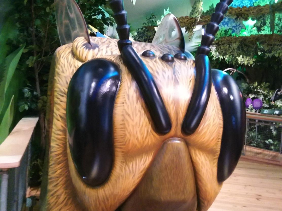 Daggerwing Nature Center-博卡拉顿必去景点