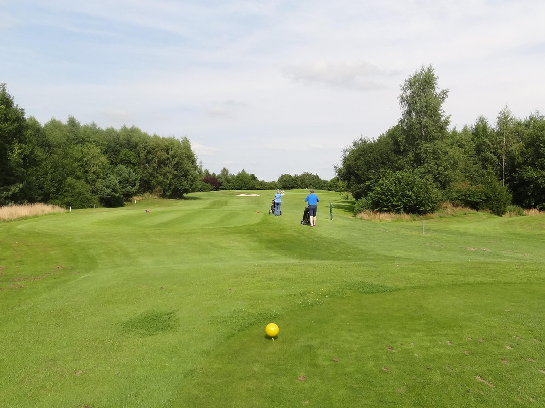 Golf in Hude景点图片