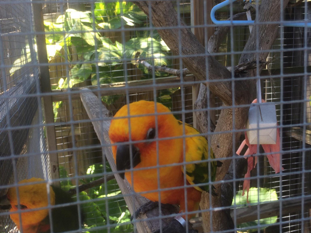 Horse Power for Kids & Animal Sanctuary-坦帕必去景点