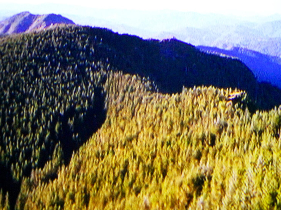 Tillamook Forest Center-蒂拉穆克必去景点