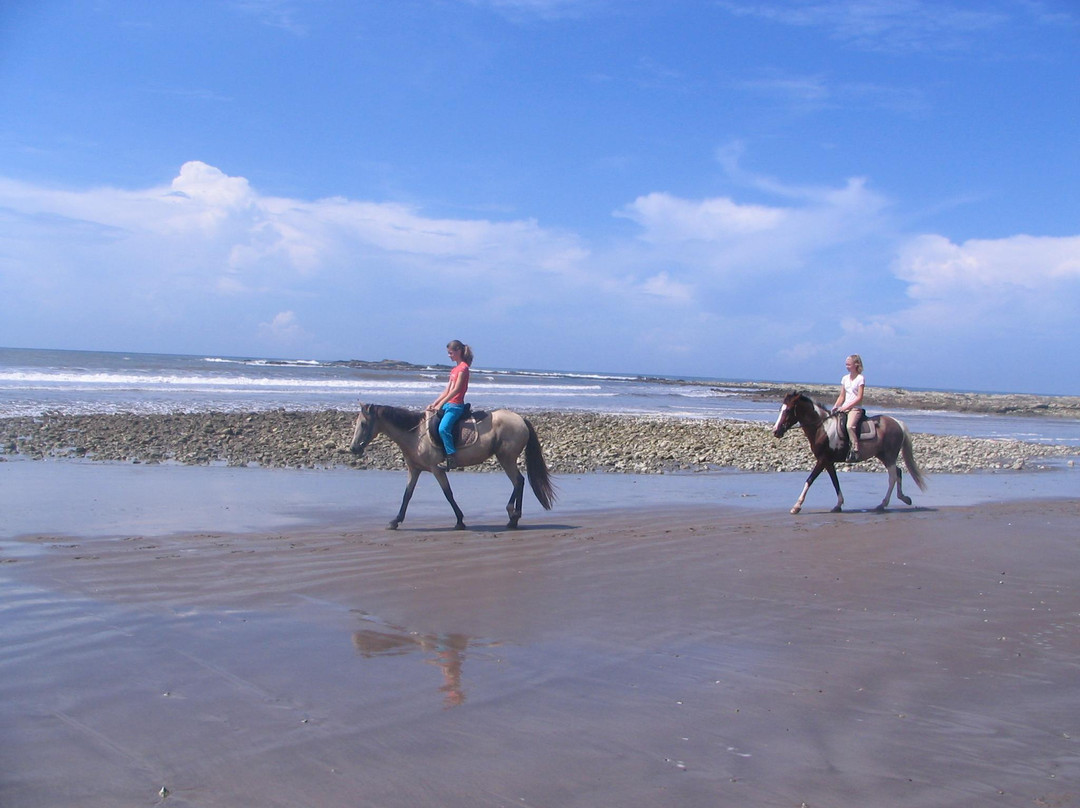 Horse Jungle-萨玛拉滩必去景点