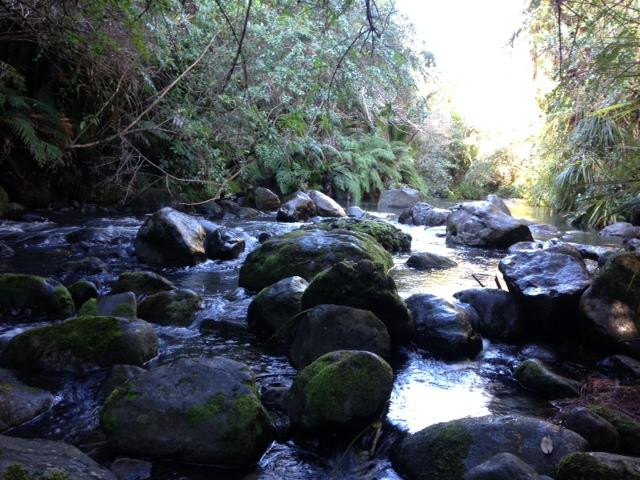 Auckland Photography Tours-奥克兰中心地区必去景点