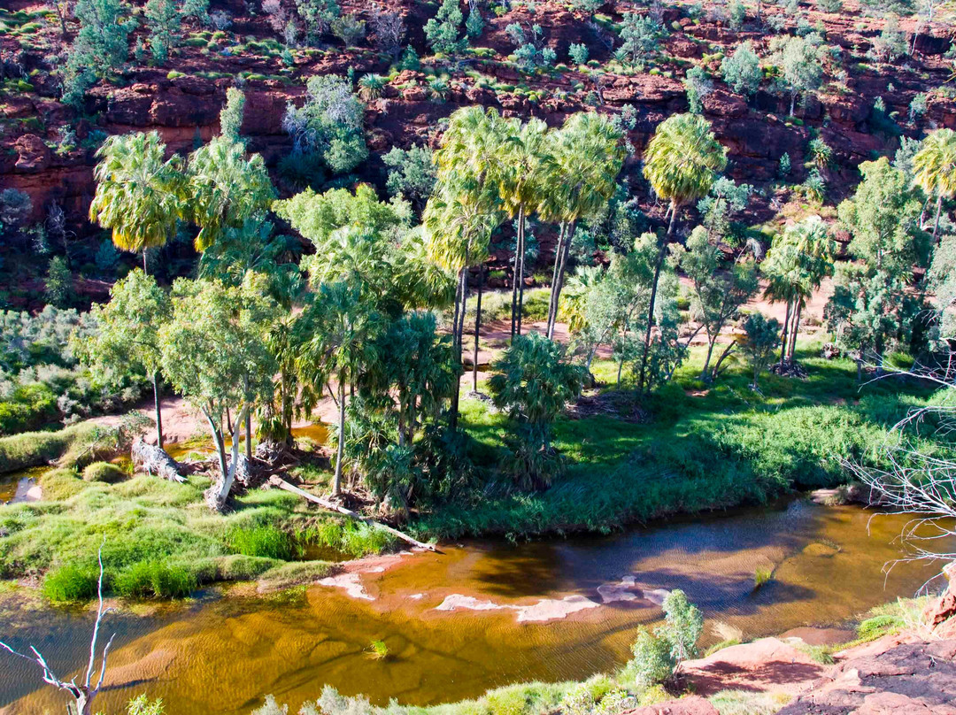 Finke Gorge National Park-爱丽斯泉必去景点