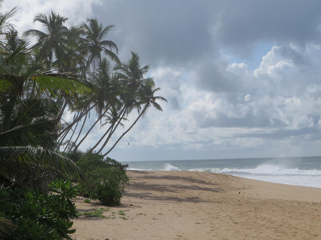Medaketiya Activity Beach-唐卡拉必去景点