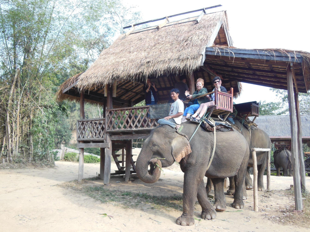 Elephant Village Sanctuary & Resort-琅勃拉邦必去景点