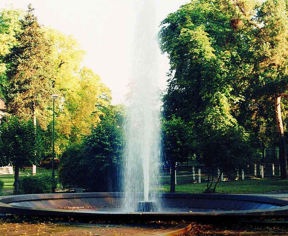 Geyser of Herl'any景点图片