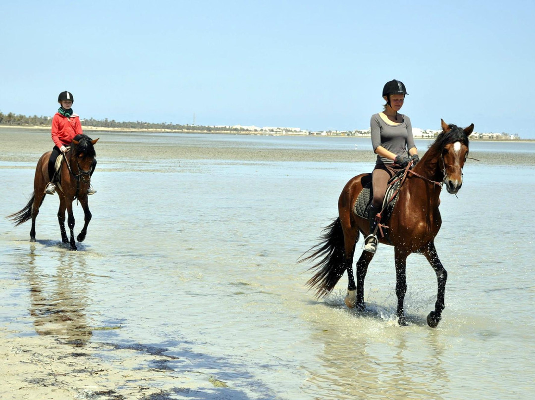 Ranch Tanit Djerba-米栋必去景点