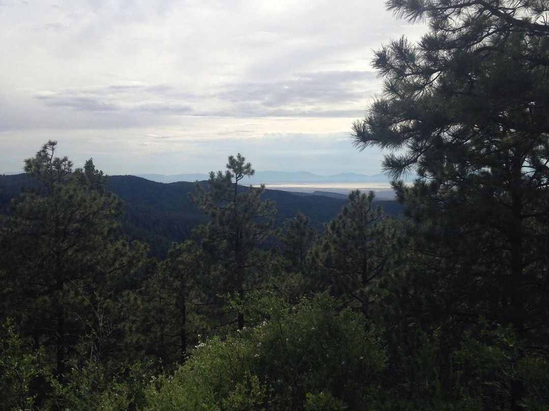Osha Trail-Cloudcroft必去景点