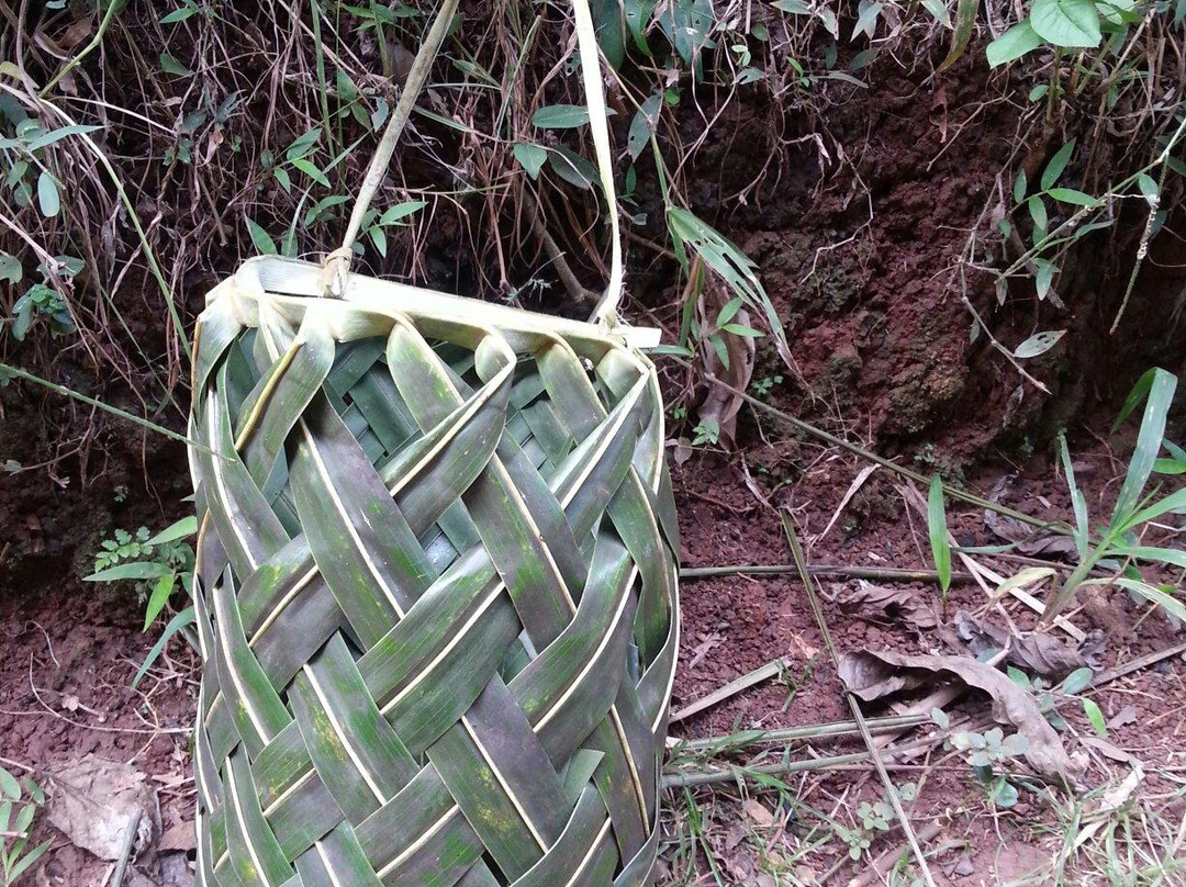 Aromaore-Ouangani必去景点