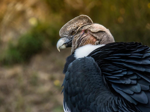 Leon Photo & Foodie-基多必去景点