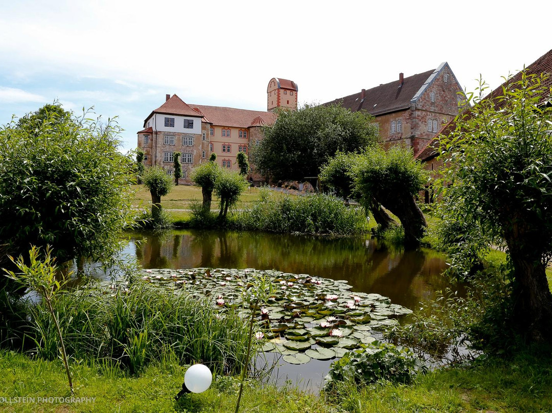 Schloss Breitungen景点图片