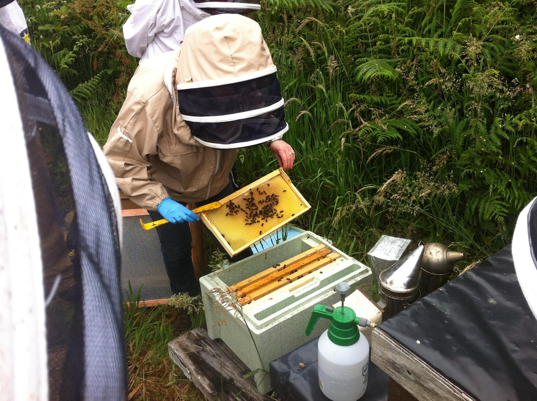 Irish Seed Savers-Scarriff必去景点