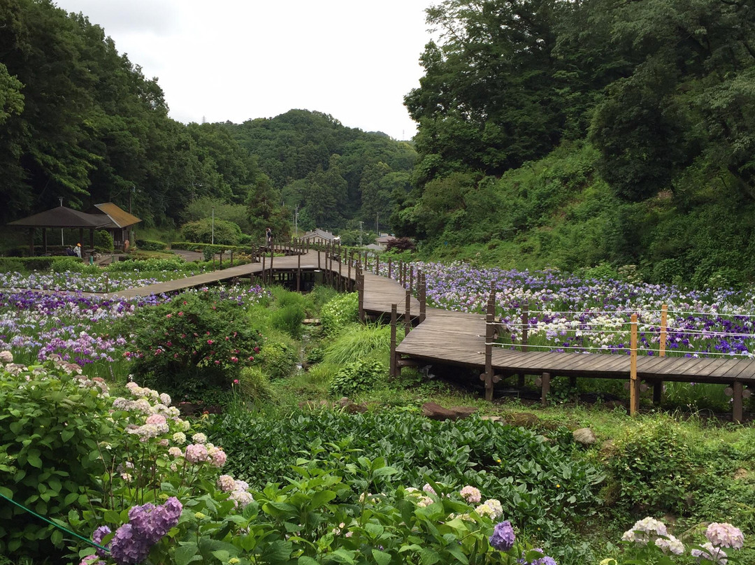 Ninomiya Seseragi Park-二宫町必去景点