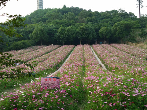 杭州东方文化园-杭州市必去景点