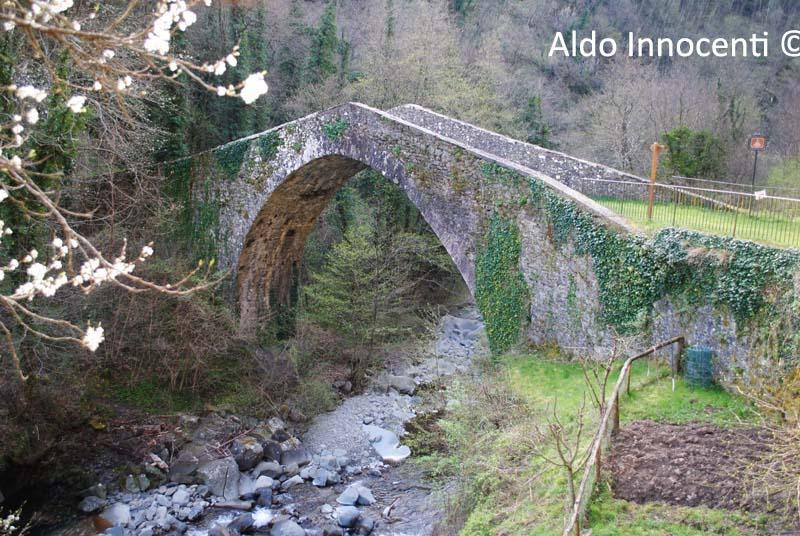 Ponte Dei Mulini景点图片