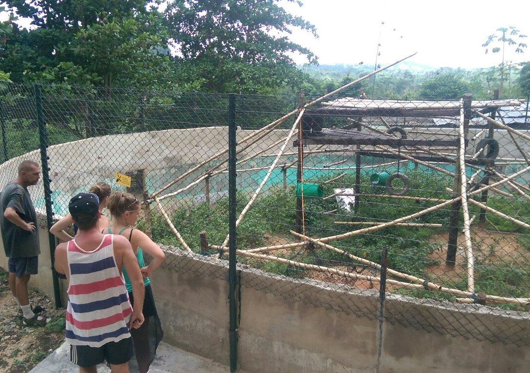 Monkey Forest Resort-Cape Coast必去景点