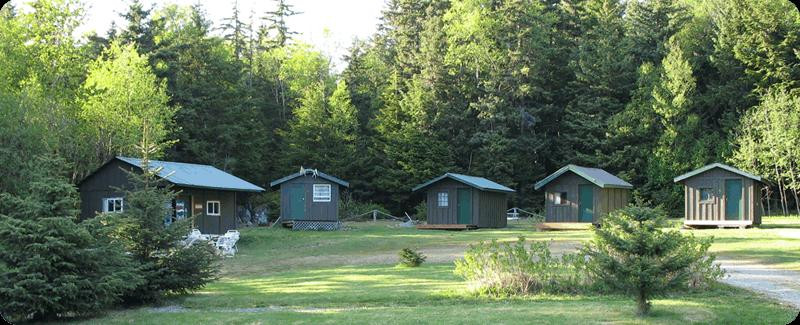 Bear Creek Cabins and Hostel