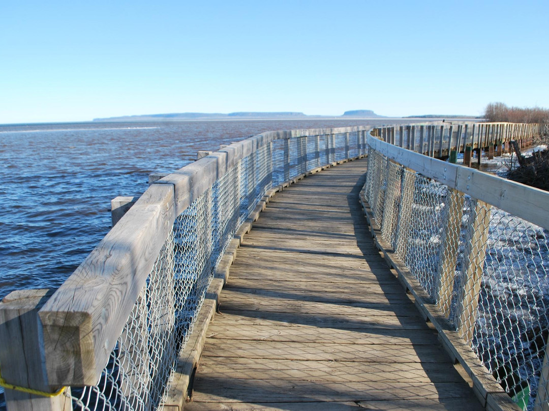 Mission Island Marsh Conservation Area-桑德贝必去景点