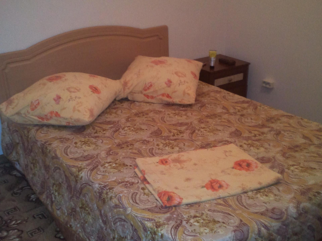 2025年2月Zeya旅游景点攻略Zeya旅游住宿,Zeya旅游美食猫途鹰