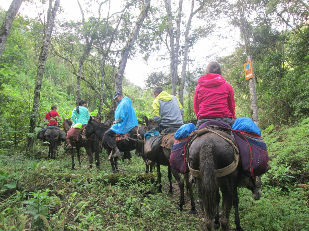 Santa Maria Travel- Day Tours-Chachapoyas必去景点