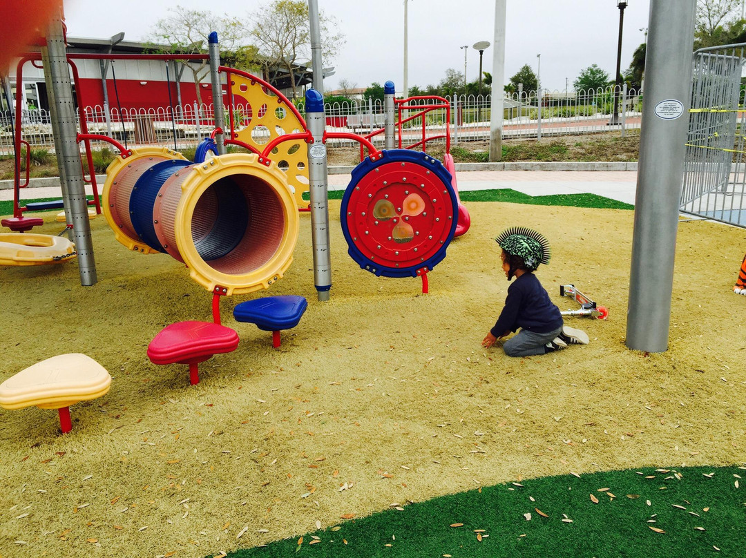 Payne Park-萨拉索塔必去景点
