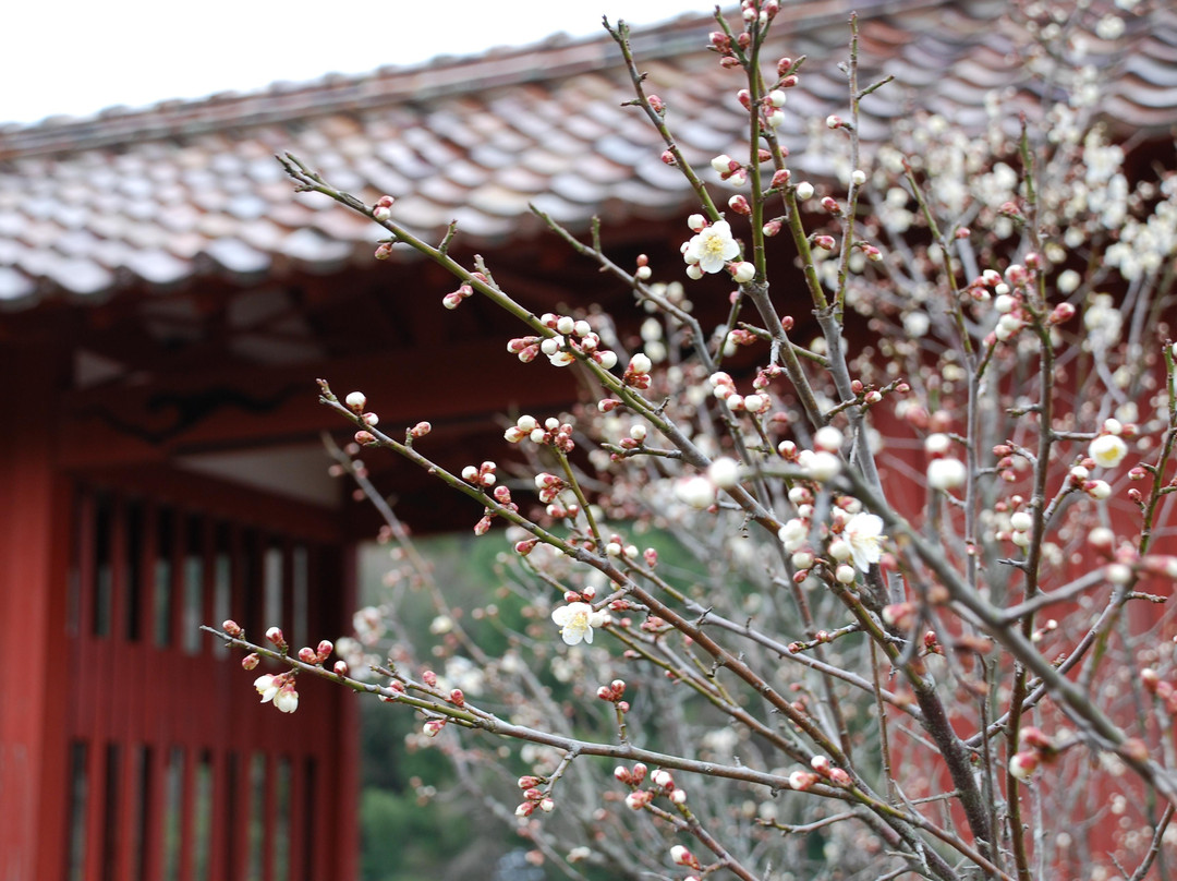 Kanzeonji Temple景点图片