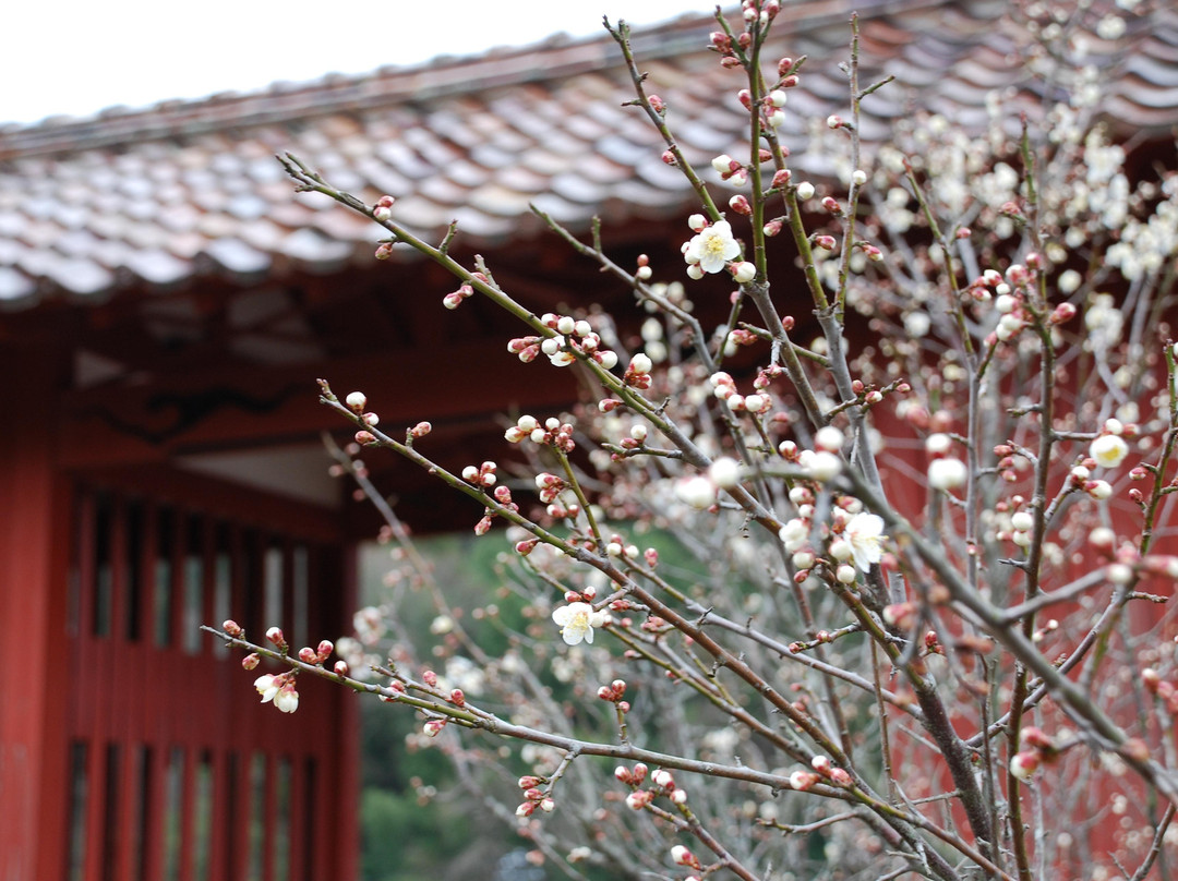 Kanzeonji Temple-大田市必去景点