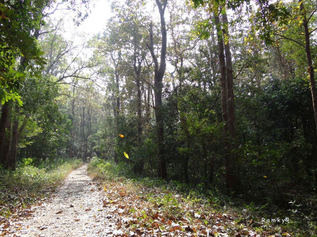 Dhoni Waterfalls-Palakkad必去景点