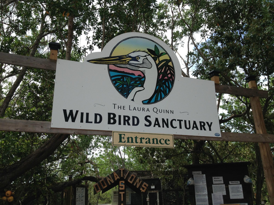 The Florida Keys Wild Bird Center景点图片