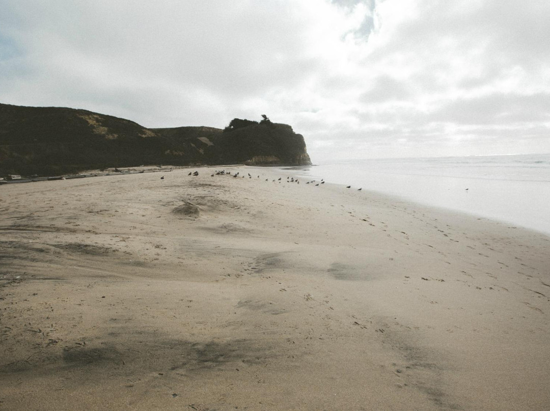 Pomponio State Beach-半月湾必去景点