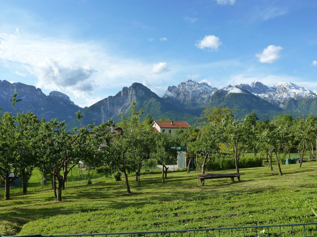 Casa di Campagna Dolomiti Bellunesi主图