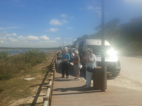 Badger Tours-塞新布拉必去景点