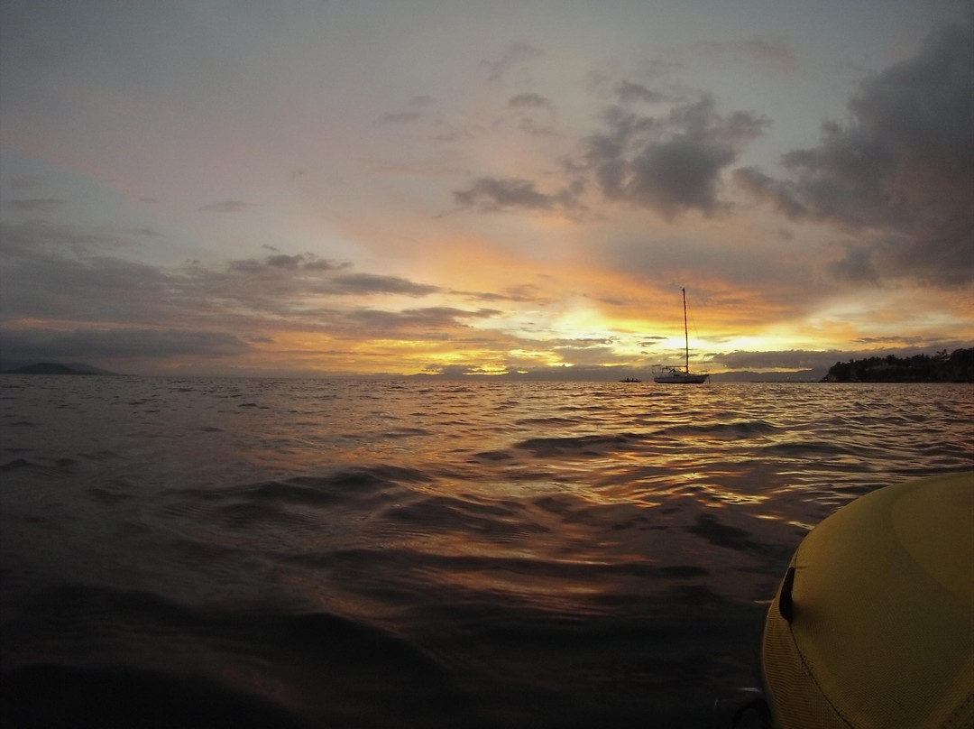 Freediving Philippines-莫阿尔博阿尔必去景点