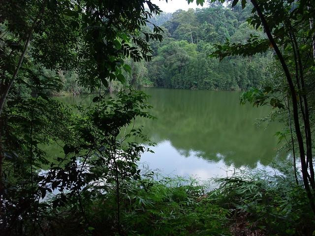 Taman TAR Wildlife Sanctuary-安邦必去景点