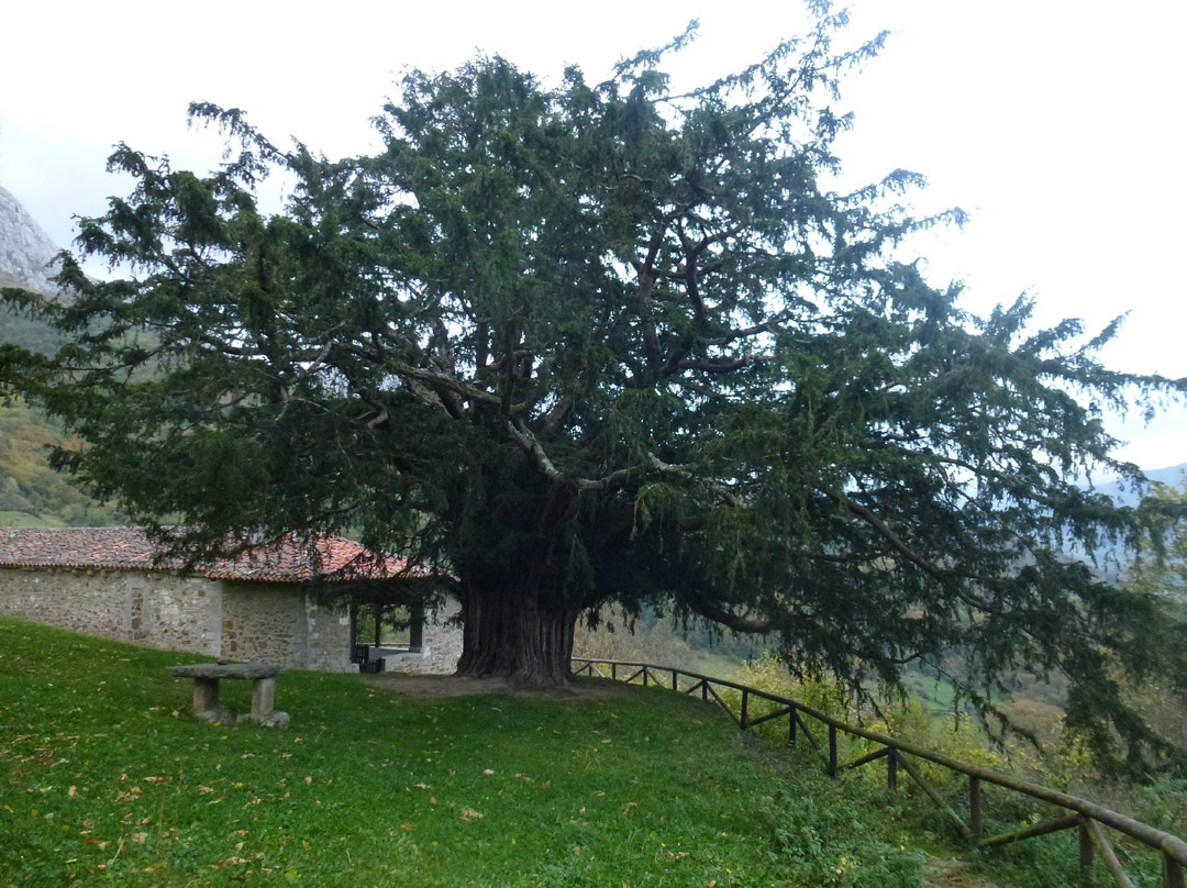 Bermiego-Quiros Municipality必去景点