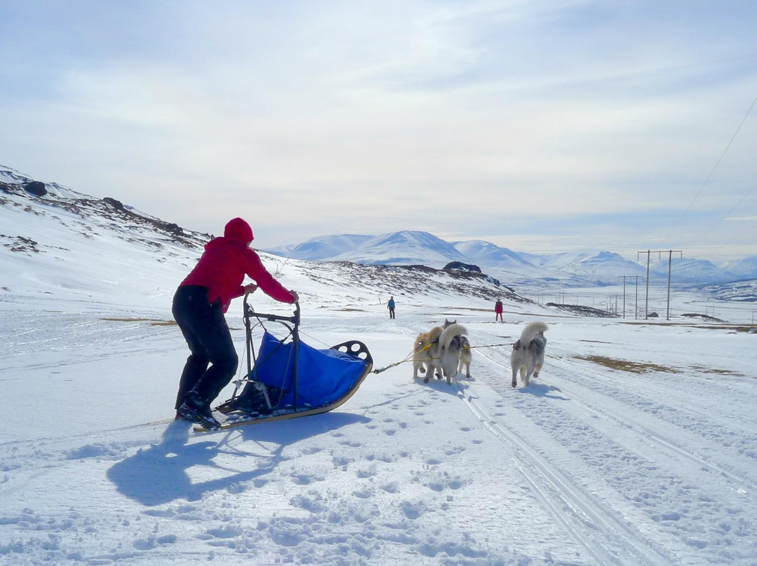Inspiration Iceland-阿克雷里必去景点